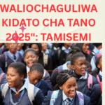Orodha ya waliochaguliwa kidato cha tano 2025