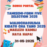 Waliochaguliwa Kidato Cha Tano 2025