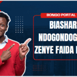 Biashara Ndogondogo Zenye Faida 2025/2026: