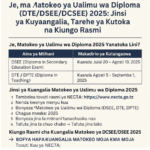 Matokeo Ya Ualimu wa Diploma (DTE/DSEE/DCSEE) 2025/2026