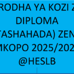 orodha ya kozi za Diploma (stashahada) zenye mkopo 2025/2026 HESLB