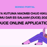 Jinsi ya Kutuma Maombi ya DUCE 2025/2026