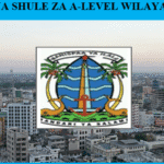 Orodha ya Shule za A-Level Wilaya ya Ilala