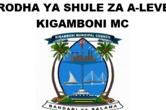 Orodha ya shule za A- Level Kigamboni MC