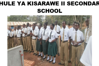 Shule ya Kisarawe II Secondary School (Matokeo 2025, Ada, Fomu ya Kujiunga)