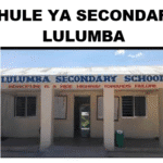 SHULE YA SEKONDARI LULUMBA