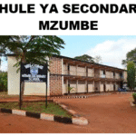Shule ya Mzumbe Secondary School (Matokeo 2025, Fomu ya kujiunga)