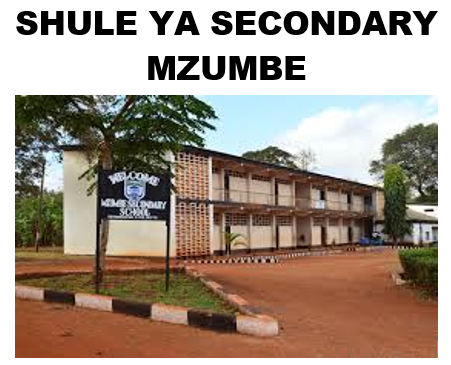 Shule ya Mzumbe Secondary School (Matokeo 2025, Fomu ya kujiunga)