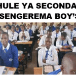 Shule ya Sengerema Secondary School (Matokeo 2025, Fomu ya Kujiunga)