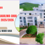 Majina Waliochaguliwa Chuo Kikuu cha UDOM 2025/2026 (UDOM Selected Applicants)