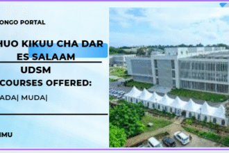 kozi zinazotolewa chuo kikuu cha dar es salaam (UDSM)