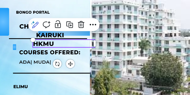 kozi zinazotolewa chuo kikuuu cha hubert kairuki (HKMU)