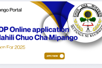 Jinsi ya Kutuma Maombi ya Chuo cha Mipango 2025/2026 (IRDP Online Application)