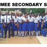 Shule ya sekondari (Jitegemee Secondary School, Matokeo, Fomu ya Kujiunga)