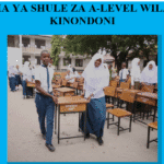 Orodha ya Shule za A-Level Wilaya ya Kinondoni