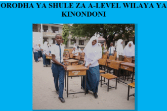 Orodha ya Shule za A-Level Wilaya ya Kinondoni