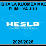 DIRISHA LA KUOMBA MKOPO ELIMU YA JUU 2025/2026