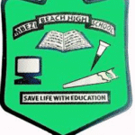 Shule ya Sekondari ya Mbezi Beach (Matokeo, Ada. Fomu)