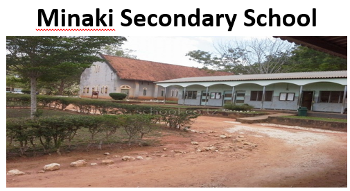 S hule ya minaki secondary school Matokeo 2025, Fomu ya kujiunga