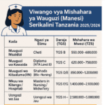VIWANGO VYA MISHAHARA YA WAUGUZI (MANESI) WA UMMA (SERIKALINI) TANZANIA 2025/2026