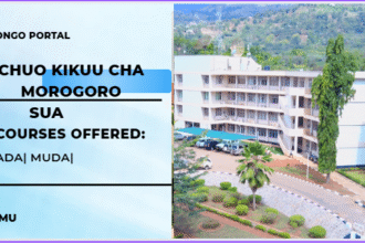 kozi zinazotolewa chuo kikuu cha sokoine