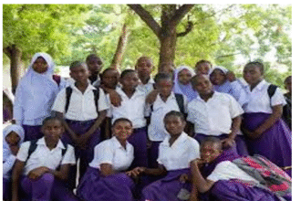 Shule ya Sekondari Temeke (Matokeo 2025, Ada, Fomu ya kujiunga)