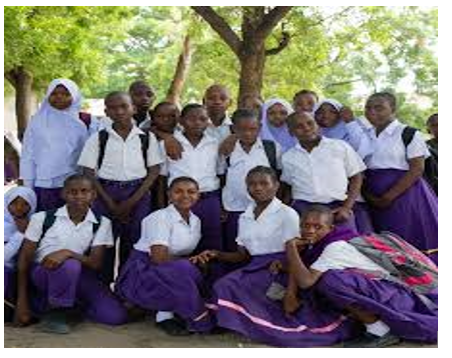 Shule ya Sekondari Temeke (Matokeo 2025, Ada, Fomu ya kujiunga)