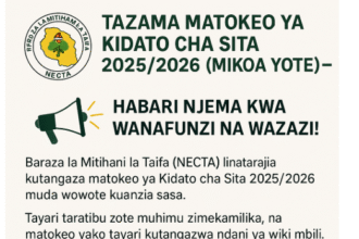Tazama Matokeo ya Kidato cha sita 2025/2026 (Mikoa Yote)