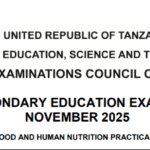 Ratiba ya Mtihani Kidato cha Nne (CSEE) 2025 – NECTA Form Four Timetable