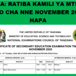 Ratiba ya Mtihani wa Kidato cha Nne (CSEE) 2025 – NECTA Official Timetable